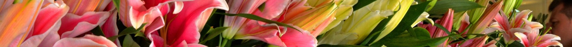 שאלות ותשובות