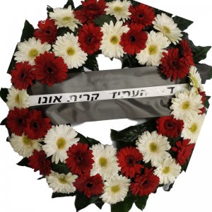 אביה גלגל אבל 1