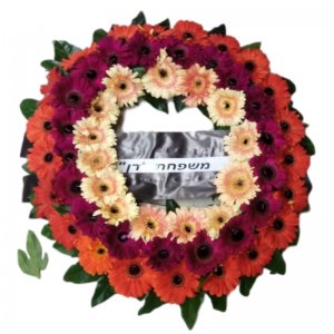 אביה גלגל אבל 6