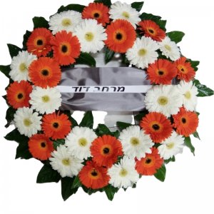 אביה גלגל אבל 9