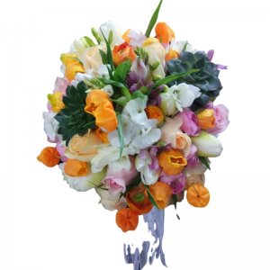 אביה זר  כלה 6