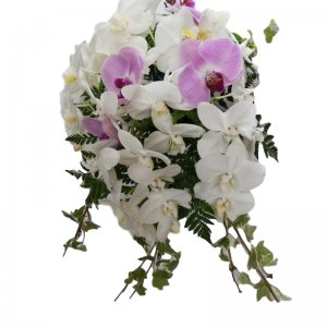 אביה זר כלה 2