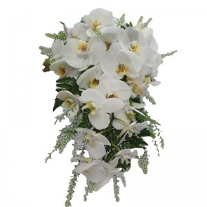 אביה זר כלה 1