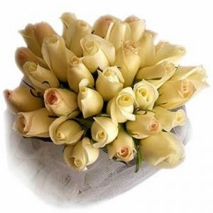 אביה זר כלה 16