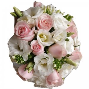 אביה זר כלה 17