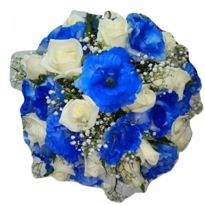 אביה זר כלה 13