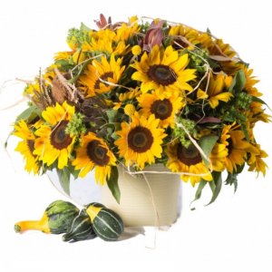 אביה סידור פרחים ג'ולי