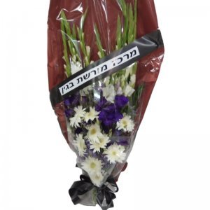 אביה זר אבל מדורג 4