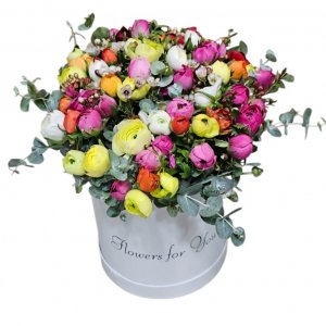 נוריות בקופסה