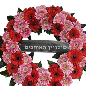 אביה גלגל אבל 10