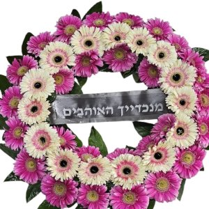 אביה גלגל אבל 2