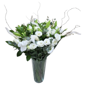 אביה  לבנים באגרטל