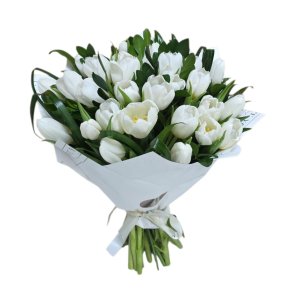 זר טוליפ לבן