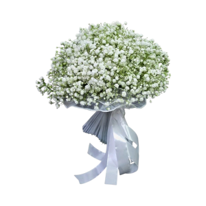 זר כלה מ גיפסנית