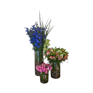 סידורי פרחים