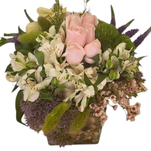 סידורי פרחים קובייה